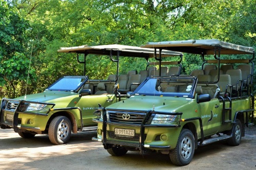 chobe bakwena lodge gamedrive voertuigen.jpg