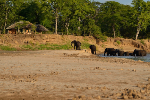 wildlife camp vanaf rivier.png