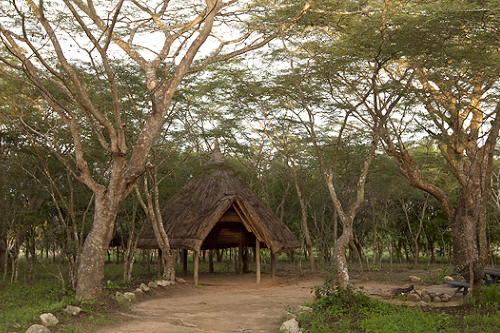 kisolanza the old farm house campsite.png