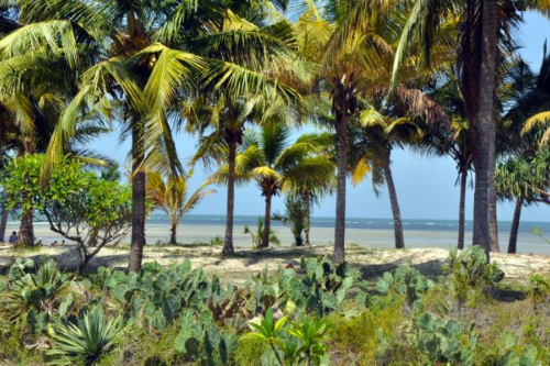 bagamoyo travellers lodge uitzicht strand.png
