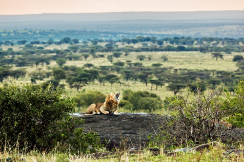 ngorongoro crater 001.png