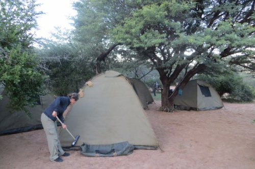 ghanzi trail blazers tent.png