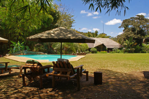 moivaro coffee plantation lodge tuin met zwembad.png