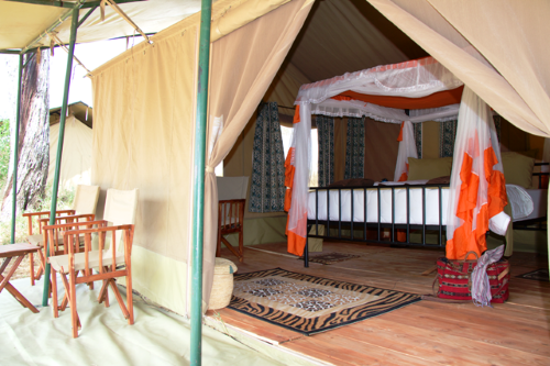 kisura serengeti camp tent.png
