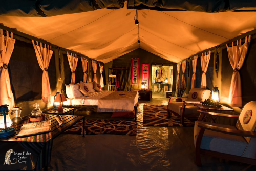 mara eden safari camp tent.png
