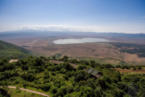 ngorongoro serena safari lodge vanuit de lucht.png