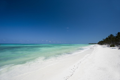 karafuu beach resort en spa strand.png