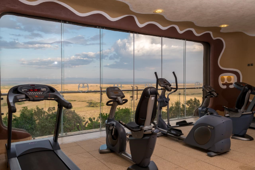 mara serena safari lodge gym.png