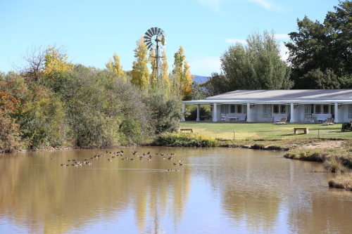 la riviera guest house terrein.png