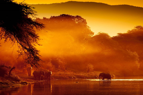 lower zambezi national park 001.png