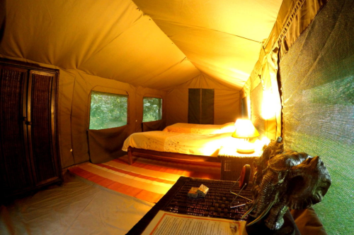 pioneer camp tent.png