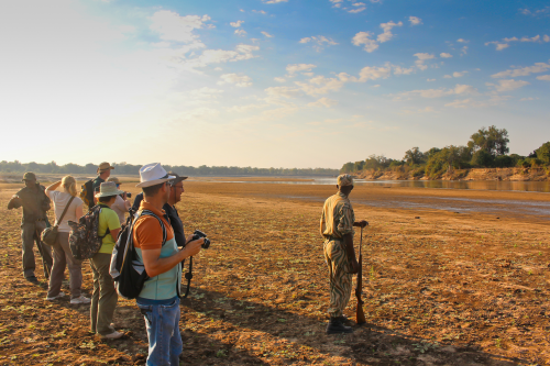 south luangwa wandelsafari.png