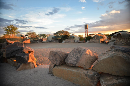 quiver tree forest rest camp terrein.png