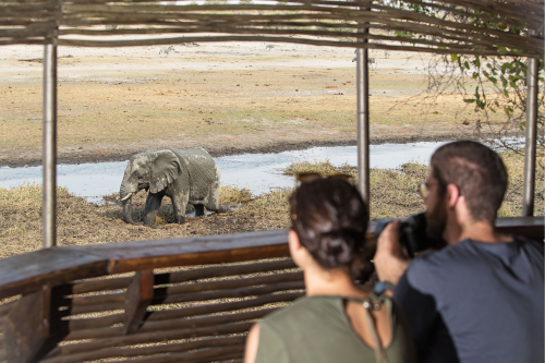 leroo la tau zicht op olifant vanuit de schuilplaats.png