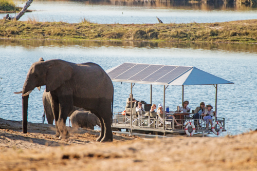 chobe game lodge - river safari-03.png