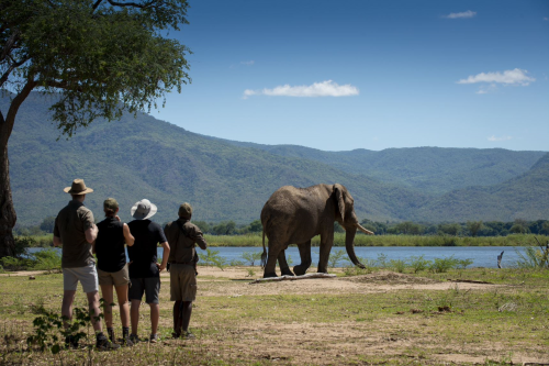 nyamatusi camp wandelsafari.png