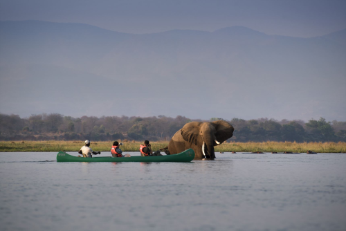 zambezi expeditions kano safari zambezi rivier.png