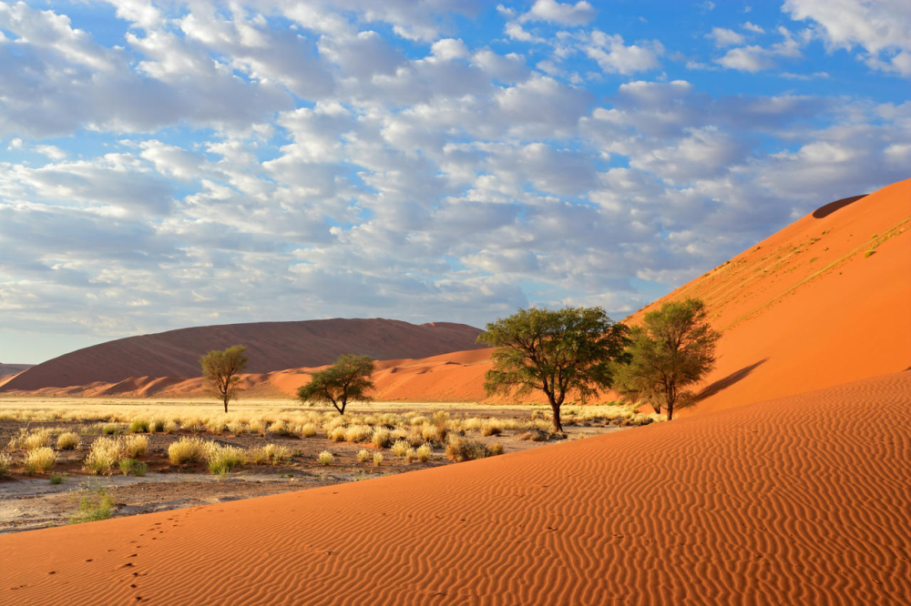 sossusvlei lodge omgeving.png