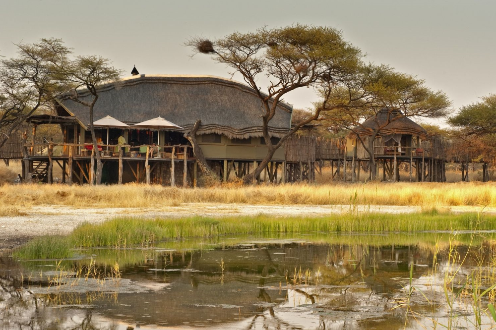 onguma tree top camp.png