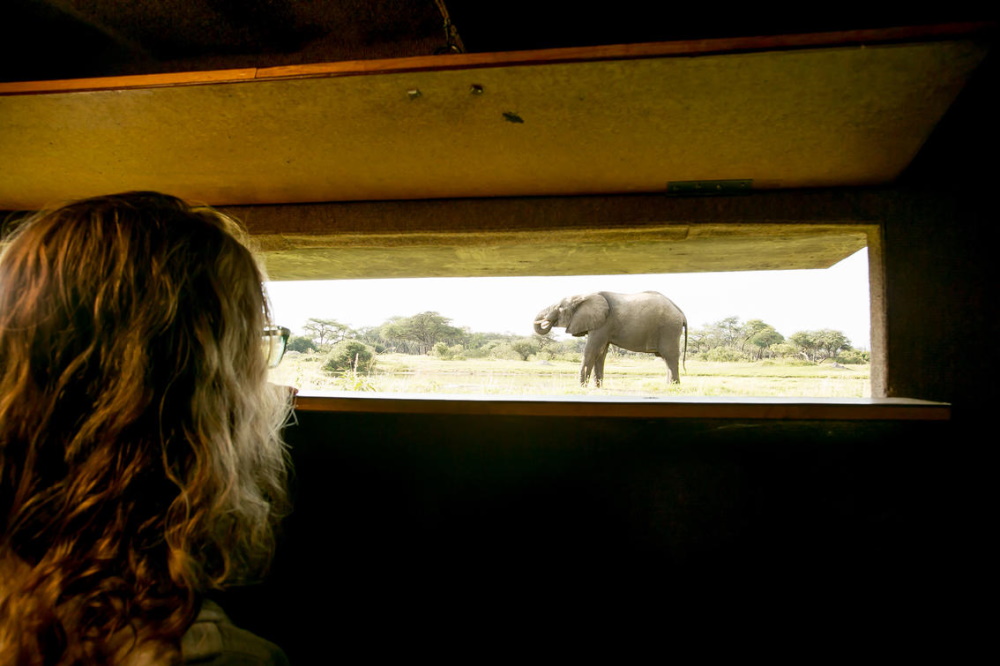 the hide uitzicht vanuit de schuilplaats.jpg