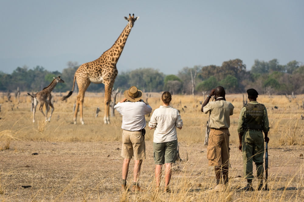 nsefu camp wandelsafari.jpg