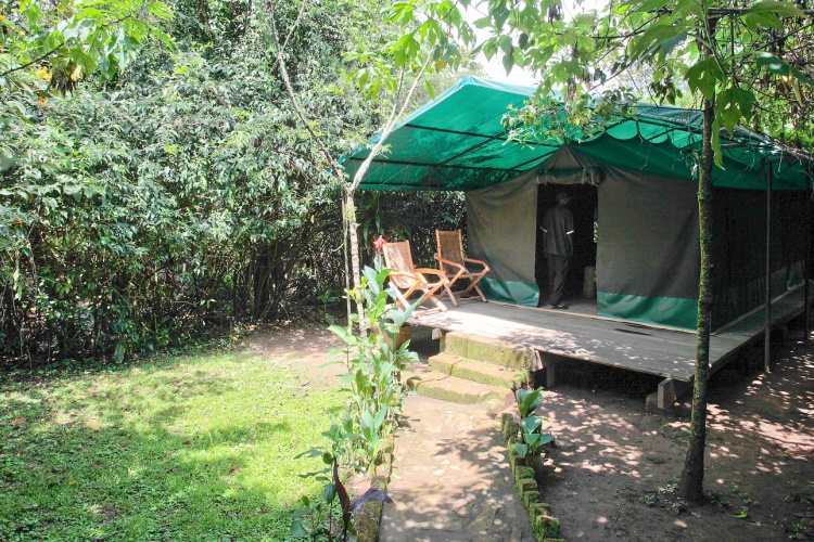 wagtail eco camp accommodatie.jpg