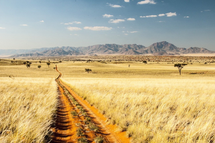 namib desert 002.jpg