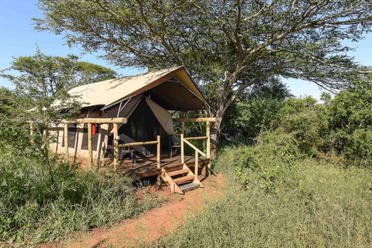 zululand lodge tent buiten.jpg