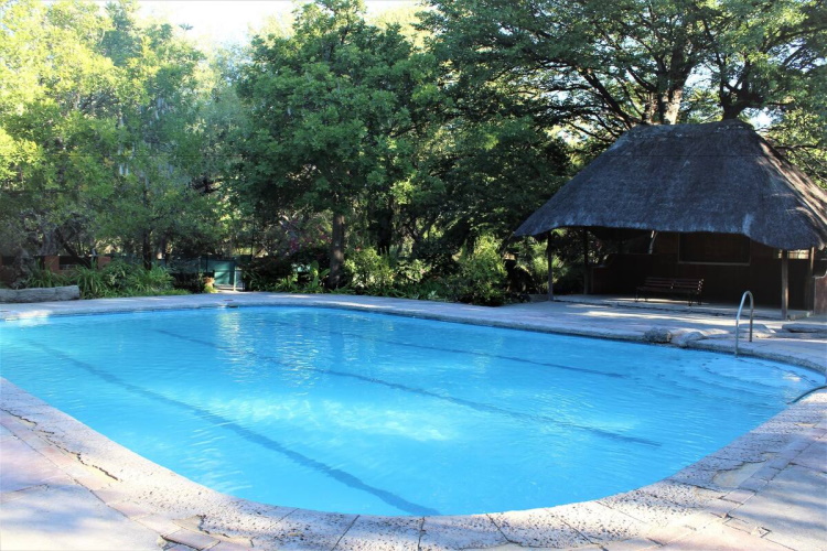 island safari lodge zwembad.jpg