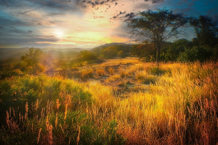 matobo hills.jpg