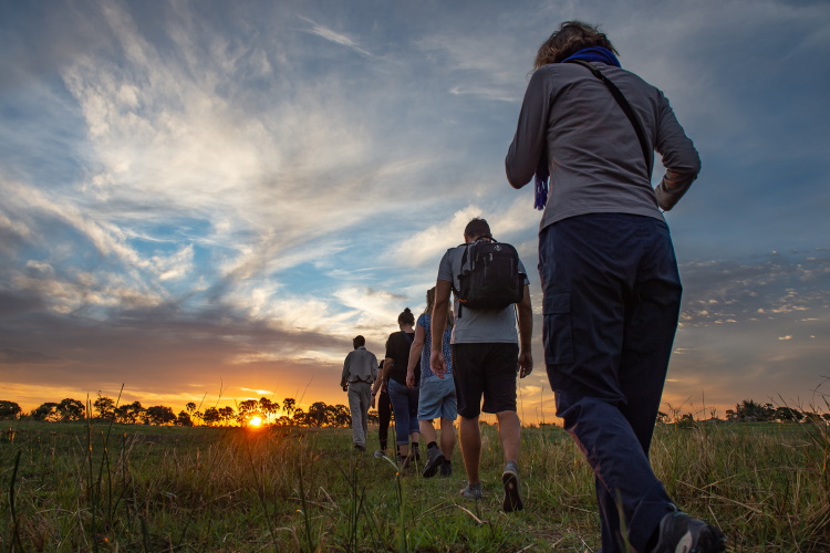 botswana okavango 015.jpg