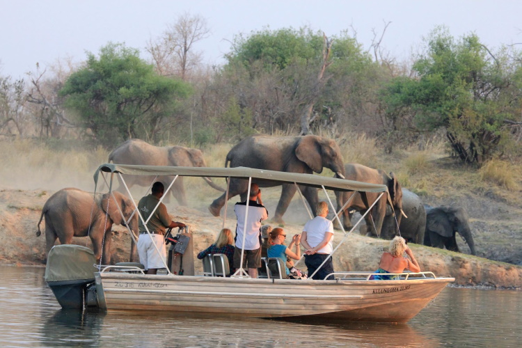 waterberry zambezi lodge cruise.jpg