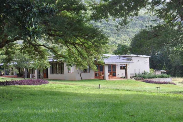 madi a thavha mountain lodge terrein.jpg