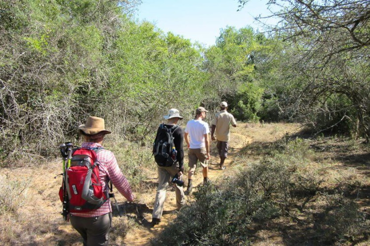 makuwa safari lodge wandeltocht.jpg