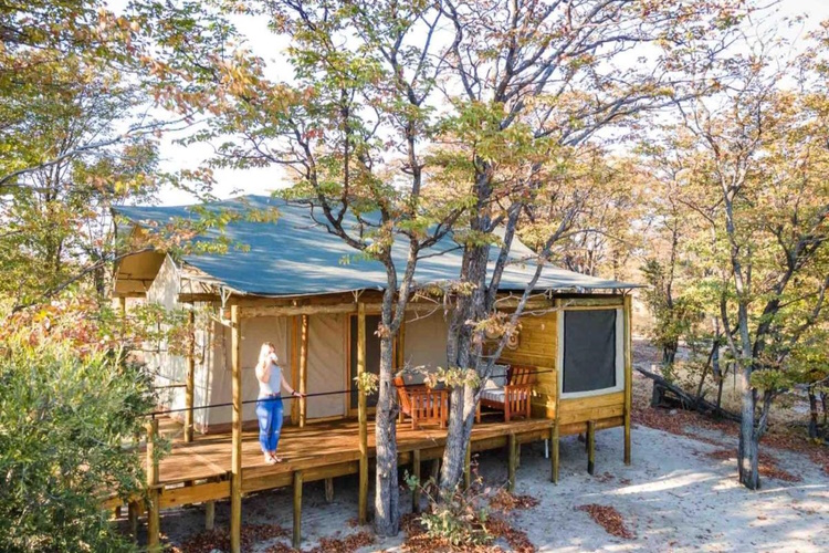 mankwe tented camp tent.jpg