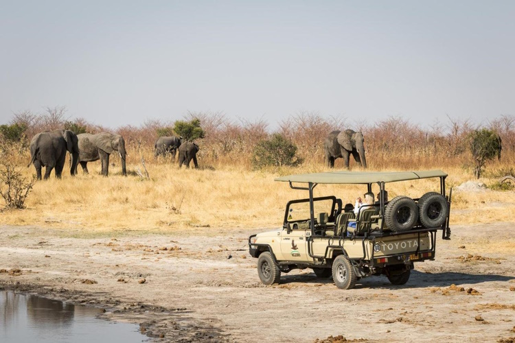 mankwe tented camp gamedrive.jpg