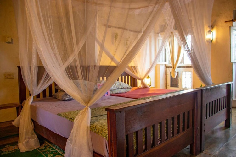 firefly bagamoyo kamer.jpg