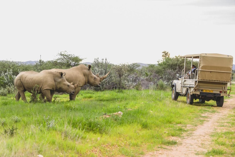 okapuka safari lodge safari.jpg