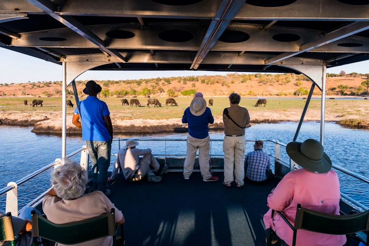 chobe marina lodge kamers bootcruise.webp