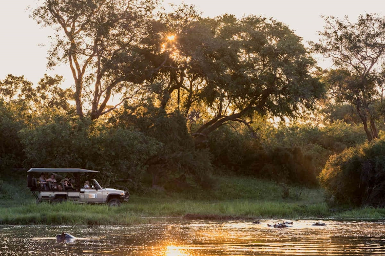 mogotlho safari lodge safari.webp