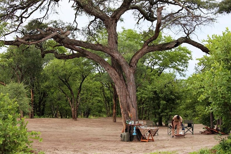 mankwe adventure camp tent terrein.webp