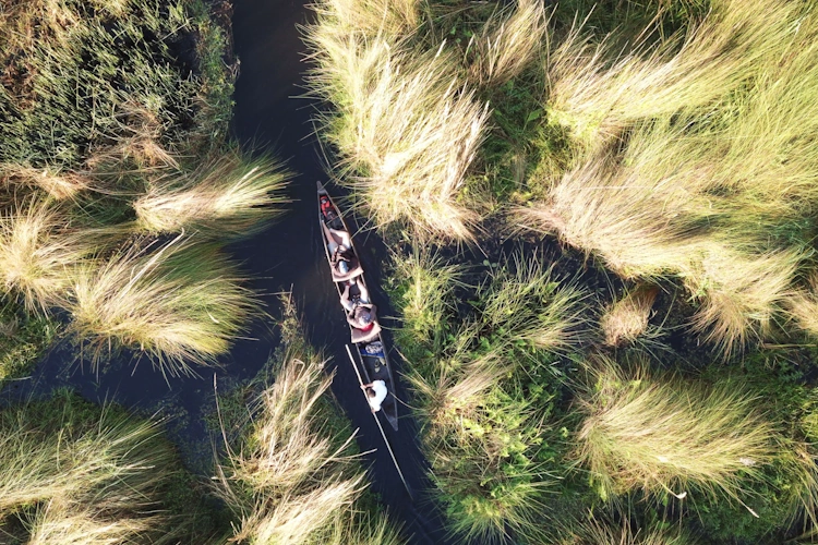 sunway botswana okavango bruce taylor-0193.webp