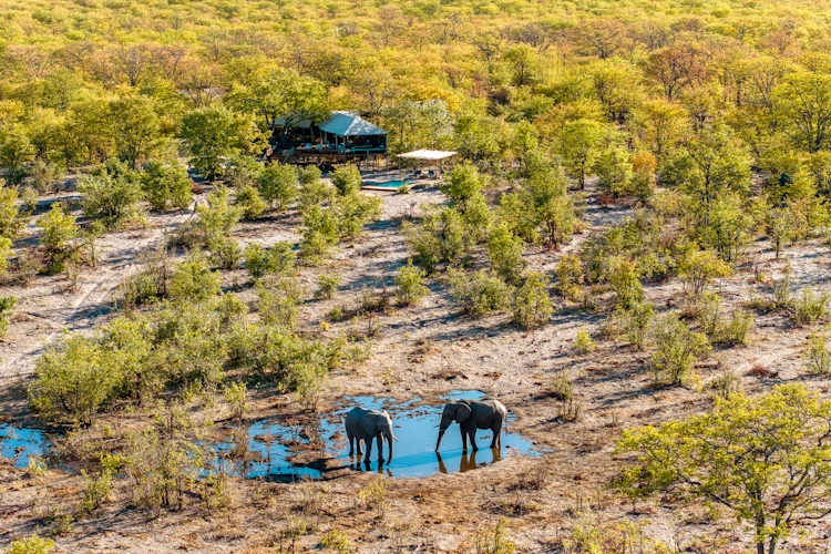 sunway botswana moremi elephant pools natural. selections-1.webp