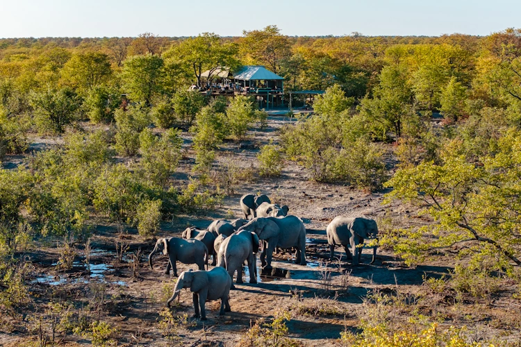 sunway botswana moremi elephant pools natural. selections-2.webp