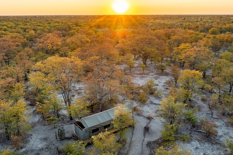 sunway botswana moremi elephant pools natural. selections-2-7.webp