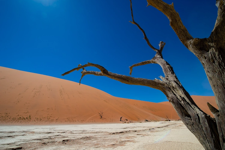 groepsreis kleine groepen namibie sossusvlei de olifantenroute van windhoek tot victoria falls 10014.webp