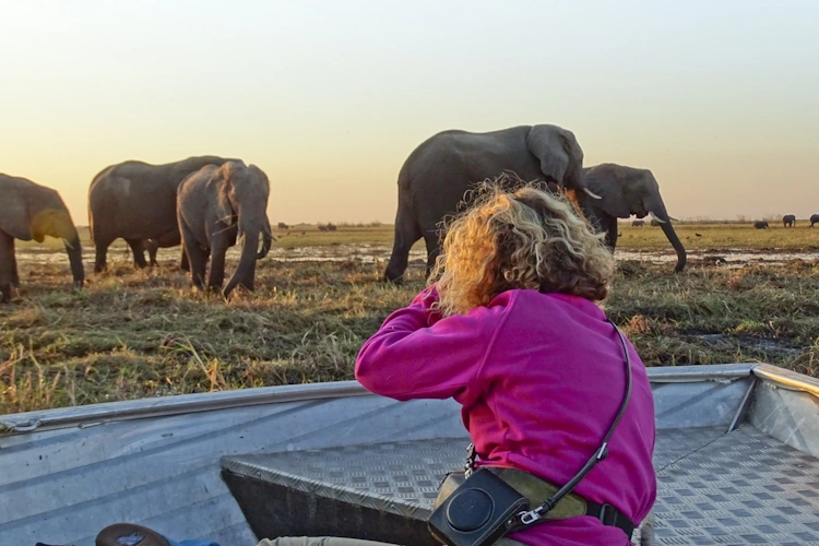 groepsreis kleine groepen namibie botswana de olifantenroute van windhoek tot victoria falls chobe 1001.webp