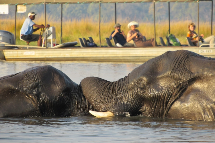 groepsreis kleine groepen namibie botswana de olifantenroute van windhoek tot victoria falls 1001.webp