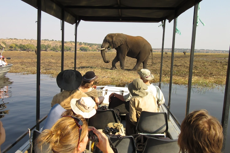 groepsreis kleine groepen namibie botswana de olifantenroute van windhoek tot victoria falls chobe 1002.webp