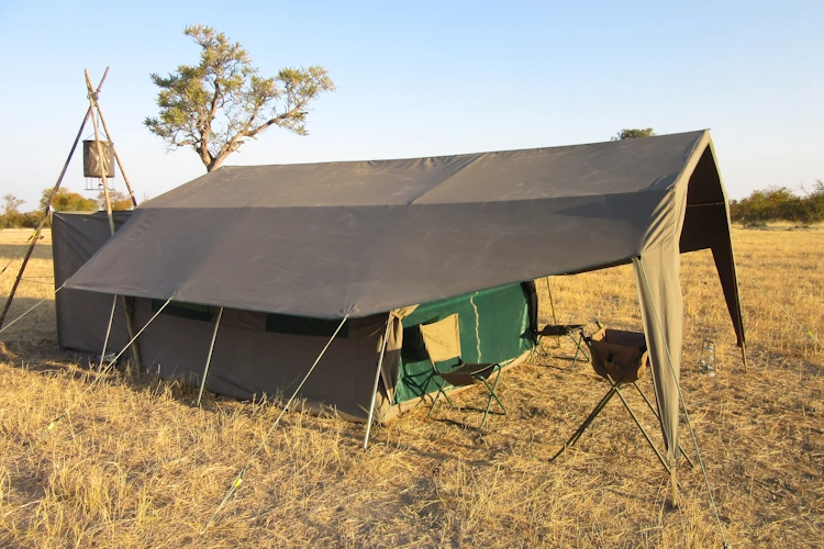 botswana baobabs en delta safari luxury mobile camping 2009.webp